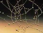 ویژگی های منحصر به فرد آب _ جلسه اول