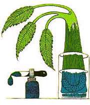 ویژگی های منحصر به فرد آب _ جلسه اول