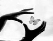 صداقت