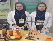 مصاحبه با دانش آموزان مدرسه سما(1) در نهمین جشنواره پروژه های دانش آموزی تبیان