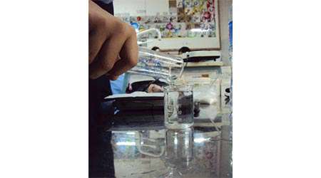 دمای نوشیدنی ها چه اثری بر حس چشایی دارد؟ - جلسه هفتم