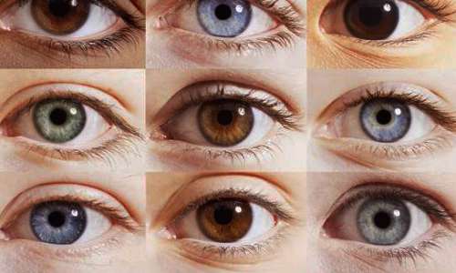 چرا رنگ چشم انسانها متفاوت است