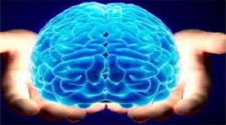 حل معمای مدیریت احساسات توسط مغز