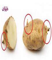 په‌تاته‌
