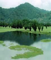 گوندی حەیران
