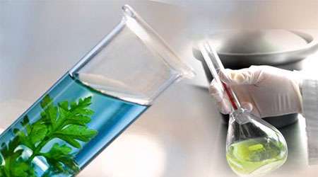 فن آوريهاي بيوانرژي چيست ؟