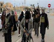 members of the takfiri daesh militant group 