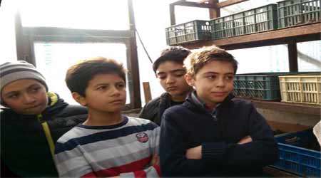تولید کود خانگی و استفاده در گیاهان دارویی دستاورد برتر دبستان سروش هدایت
