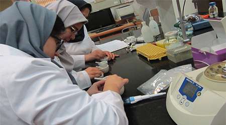 بررسی آلودگی هوای تهران بر میزان تخریب dna گیاهان مختلف