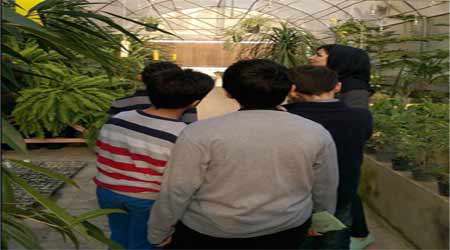 تولید کود خانگی و استفاده در گیاهان دارویی دستاورد برتر دبستان سروش هدایت