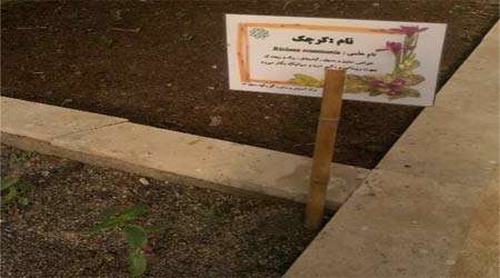 تولید کود خانگی و استفاده در گیاهان دارویی دستاورد برتر دبستان سروش هدایت