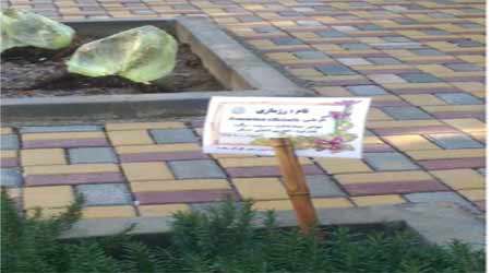 تولید کود خانگی و استفاده در گیاهان دارویی دستاورد برتر دبستان سروش هدایت