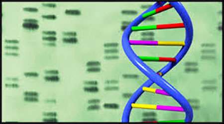 بررسی آلودگی هوای تهران بر میزان تخریب dna گیاهان مختلف – جلسه پنجم