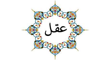 رابطه عقل و دین دستاورد برتر دوره دوم شاهد