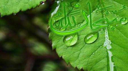 خداشناسی ،توحید
