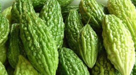 خربزه تلخ
