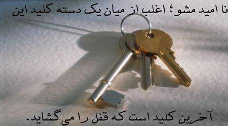 امیدواری