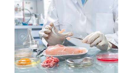 یافتن بهترین نگهدارنده ی طبیعی برای فرآورده های گوشتی، جلسه اول