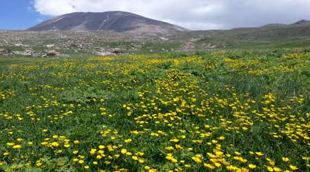 طبیعت گردی ایران