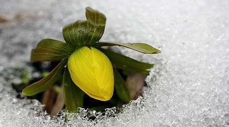 زیبایی های اسفند ماه را ببینیم