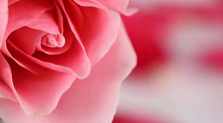 چه کنیم که بعد از وکس صورت جوش نزنیم؟