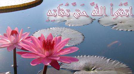 تقوای ،انتظار،مهدی عج