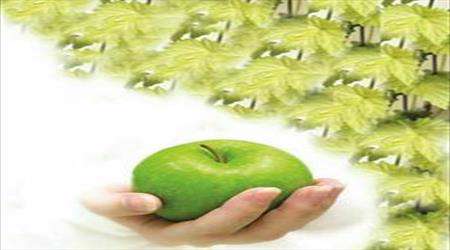 یاد مرگ ،دنیا،لذت ها،،معاد