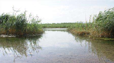 سرابی که خانه مارهای آبی است