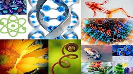 تمام آنچه لازم است برای یک پژوهش زیست شناسی خوب بدانیم...، جلسه ششم
