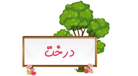 درخت