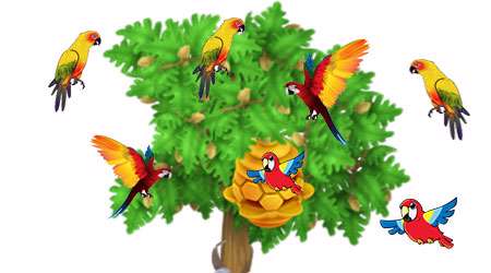 طوطی، توتی