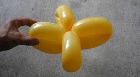 گل بادکنکی