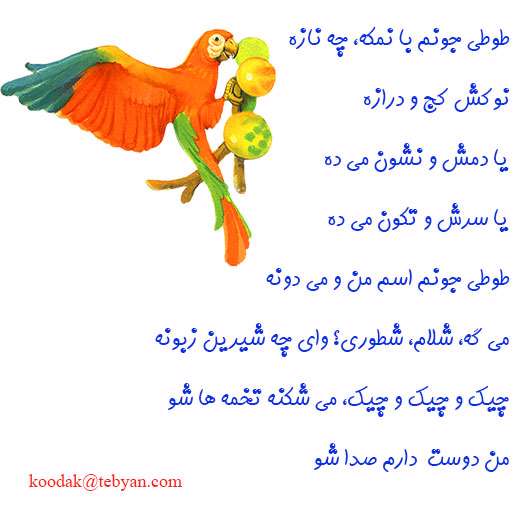 طوطی، توتی