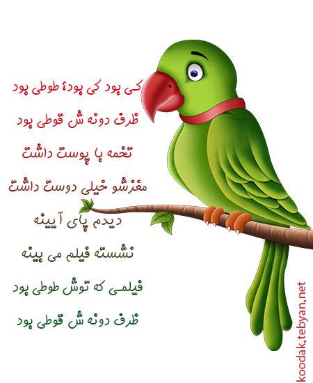 طوطی
