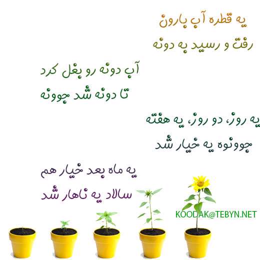جوونه