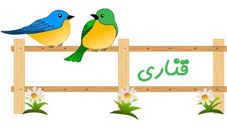 قناری