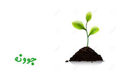 جوونه