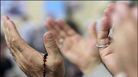 شکرگزاری