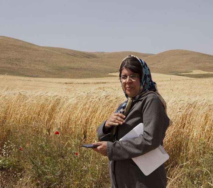مادر زمین