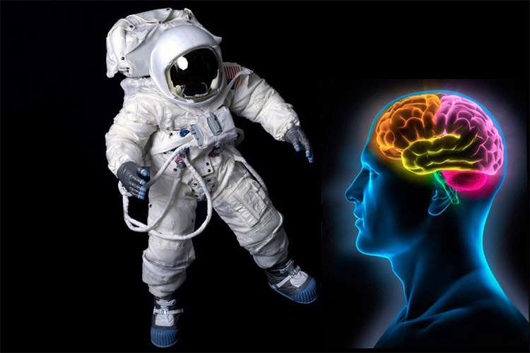 تأثیر باورنکردنی زندگی در فضا روی ساختار مغز