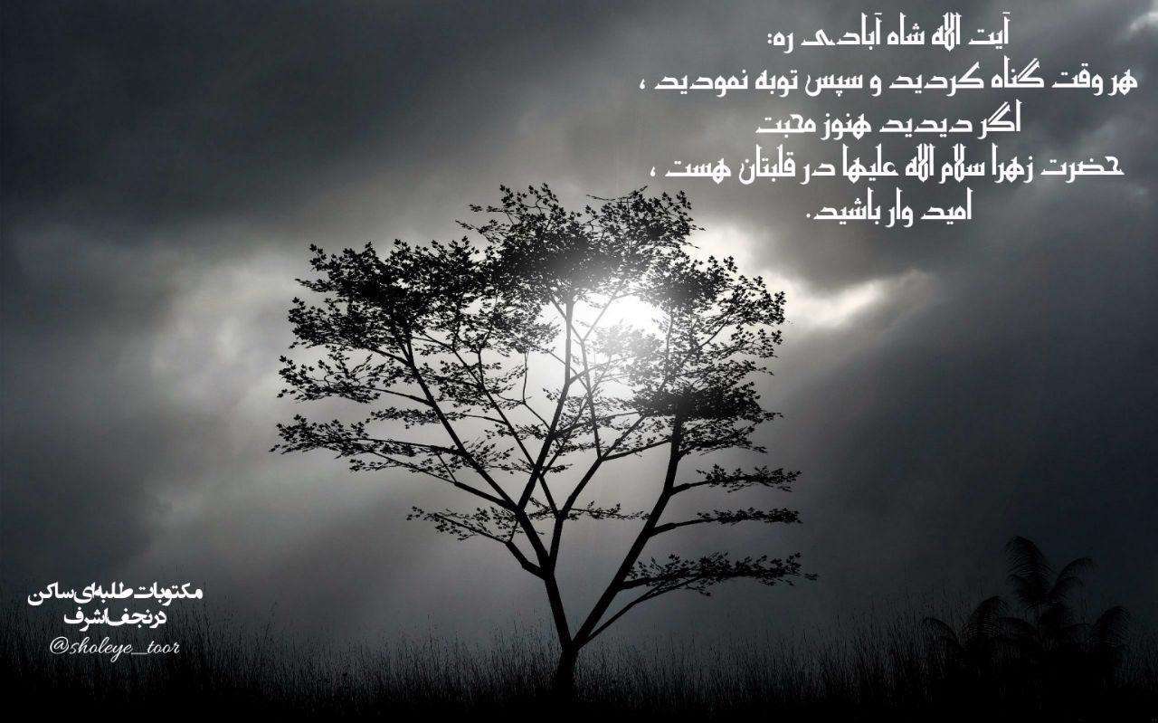 شاه آبادی