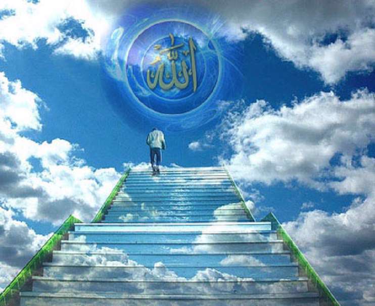 فضل خدا