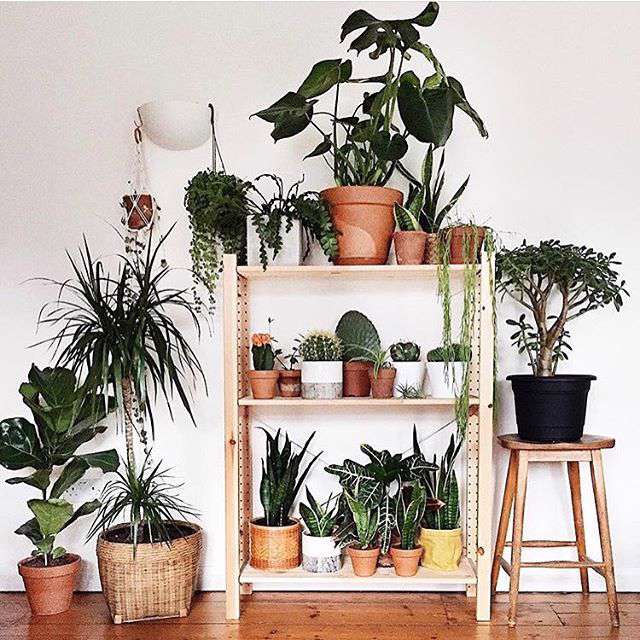 فضای بهاری