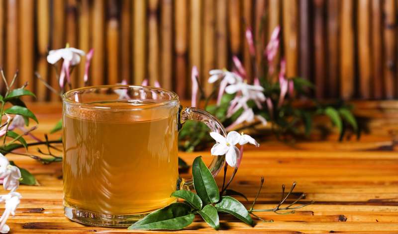 تغذیه در بهار