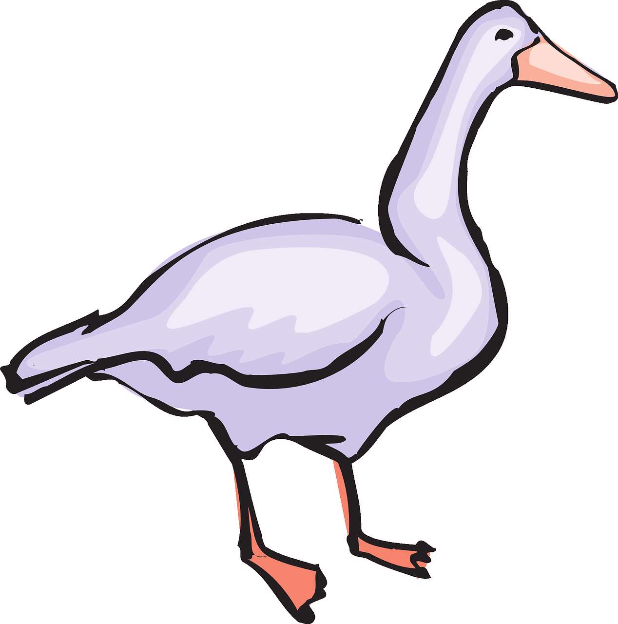 غاز دانا