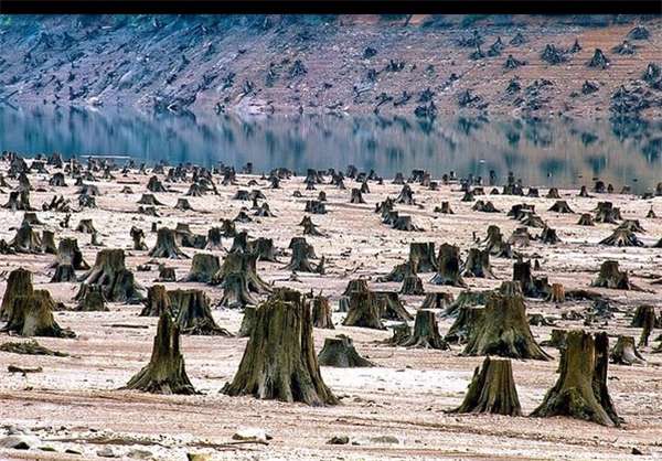 دنیا به پایان خود نزدیک شده است