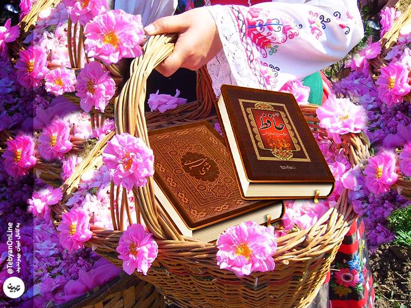 گلاب