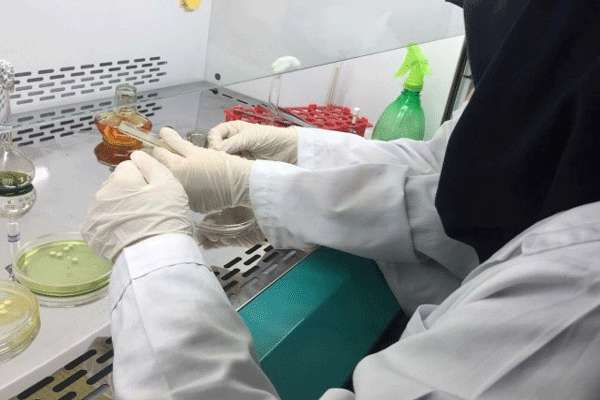 اولین مدرسه تابستانی بیوتکنولوژی