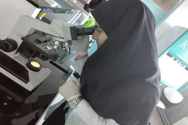 اولین مدرسه تابستانی بیوتکنولوژی