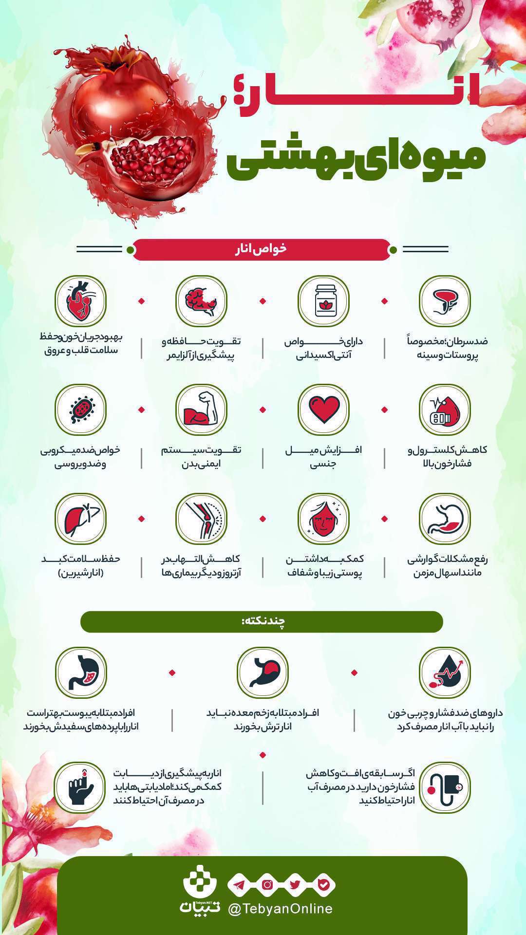 انار؛ از خواص و فواید تا نکات مهم برای مصرف